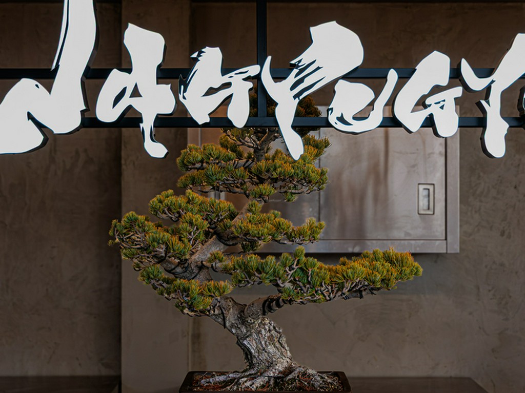 ゲストを楽しませることが第一。和洋折衷を極める店づくり