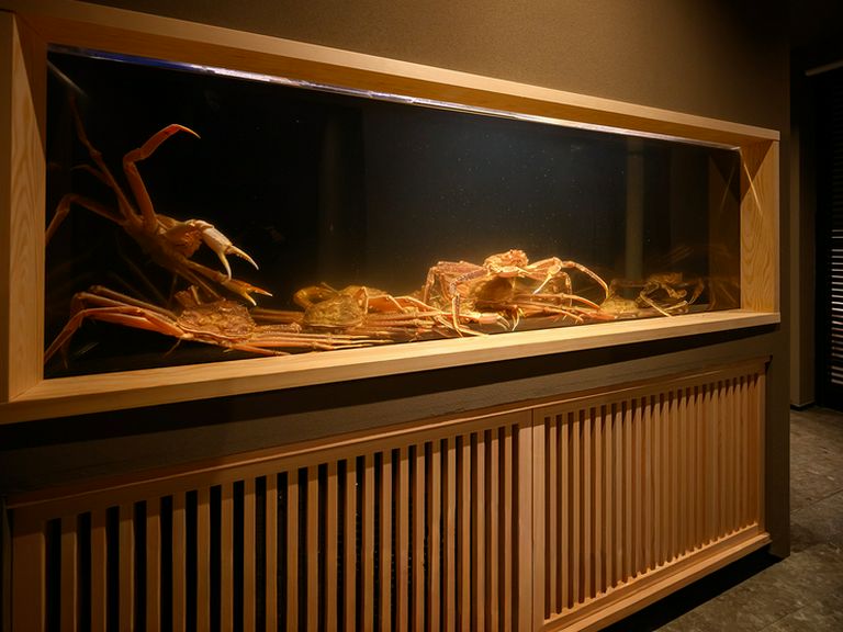 北海道直送の活ズワイ蟹を、鮮度・素材の味を余すことなく提供