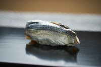 日本一の天草産小肌。光り輝く粋なひと口『小肌の握り』