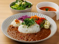 季節の和牛トマトカレー ~ 1ドリンク&こだわりのサラダ&スープ付き