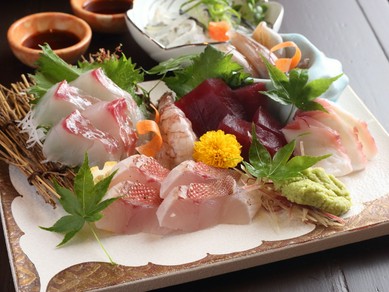 富山漁港直送『鮮魚料理』