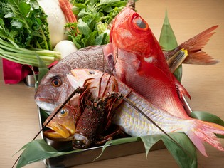 京の伝統野菜や旬の幸、高知直送の鮮魚、希少な土佐あかうし