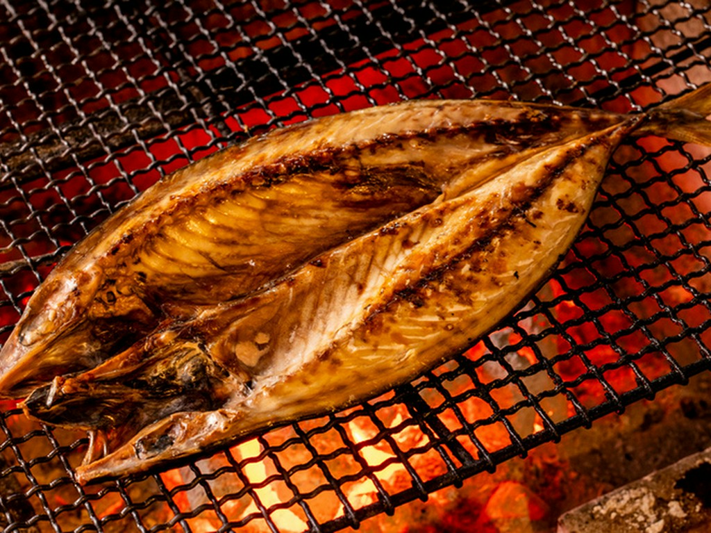 森の寒サバ《一尾》