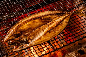 森の寒サバ《一尾》