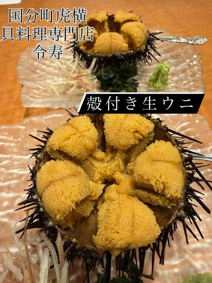 殻付きムラサキウニ