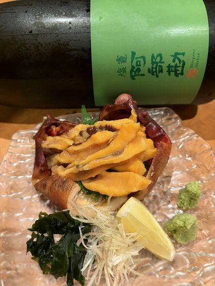 ホヤ