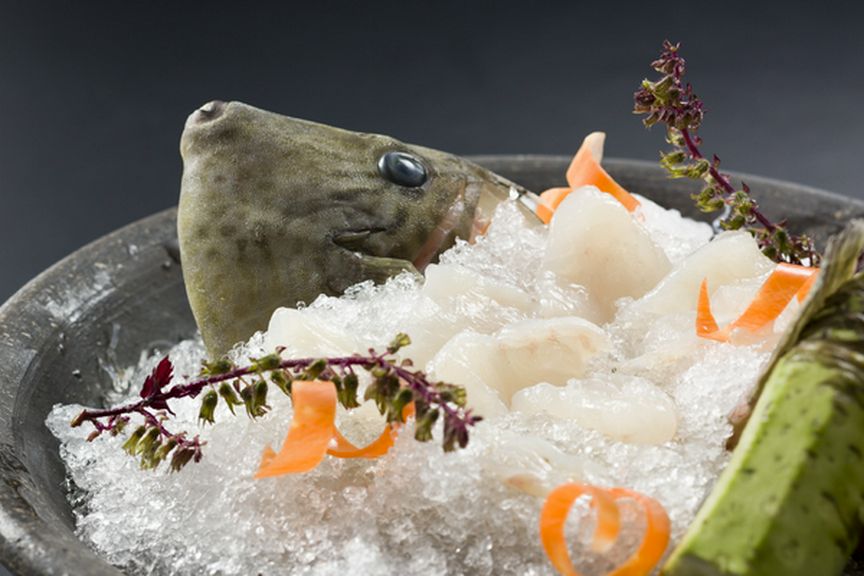 生簀から直で捌く『活魚』