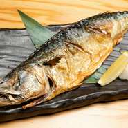 これでハーフ？と必ず驚かれる『とろさばの塩焼き　ハーフサイズ』