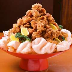 【10人前】若鳥の唐揚げ横綱盛り