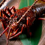 食べ応えのある伊勢海老と黒毛和牛ステーキがついた豪華なコース