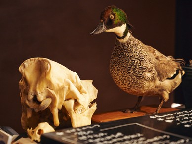 大人の異世界空間