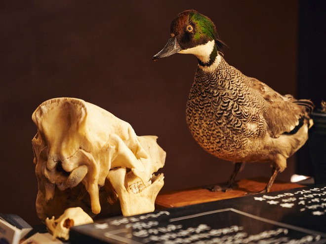 オシャレな雰囲気