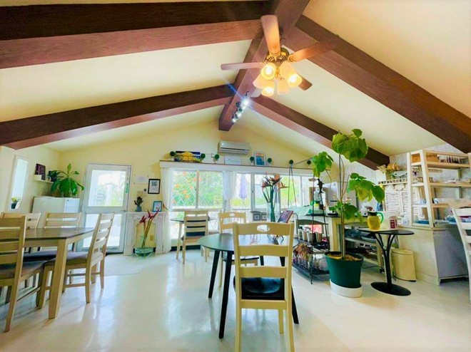 パーティー向き