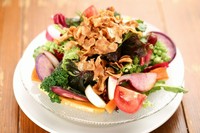 Seasonal Garden Green salad
季節野菜たっぷりのガーデングリーンサラダ
自家農園の無農薬野菜や鎌倉野菜を中心としたこだわりの野菜達の一皿です。