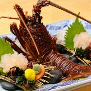 獲れたて新鮮な天然伊勢海老を、活きたまま水槽へ。活伊勢海老をオーダー後にすばやく調理し、提供してくれます。伊勢海老の身が、口の中でぷりっと弾ける食感を楽しめる逸品。