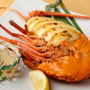 自家製のマヨネーズソースとトマトソースを伊勢海老にのせて、オーブンで香ばしく焼き上げた一品。濃厚な2種のソースが伊勢海老の旨味を受け止め、味の広がりを見せてくれます。