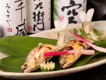 天然鮎の塩焼き