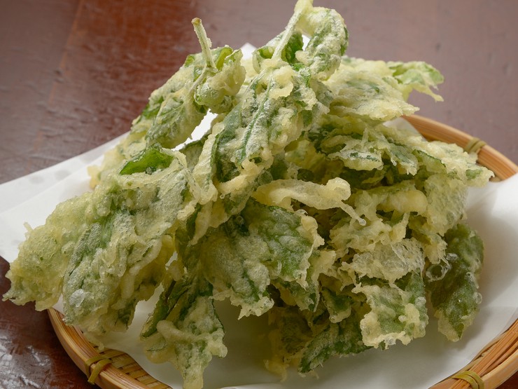 源八船頭 小岩高架下店 小岩 日本料理 懐石 会席 ヒトサラ