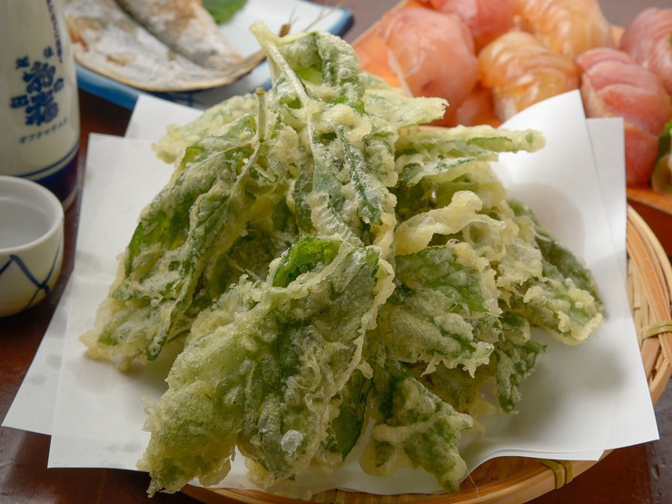 源八船頭 小岩本店 小岩 居酒屋 料理メニュー ヒトサラ