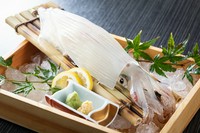 玄海直送　活イカのお造り（量り売り）