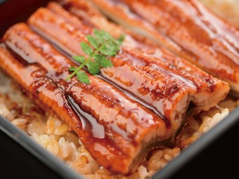 季節を愉しむ旬の限定メニュー