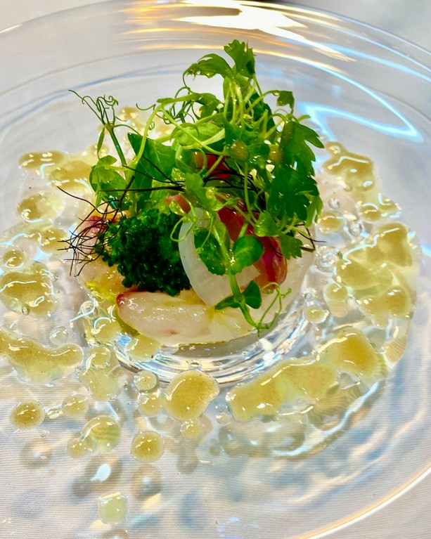 真鯛のクリュ　コラトゥーラソース