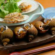 三重県直送のバイ貝は、サッと火を通してから自慢のだしで煮付けます。素材本来の旨みを引き立てるため、あえて味付けは控えめに。程よい弾力が楽しめる一皿は、日本酒のお供にぴったり。思わずお酒が進みます。