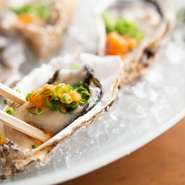 刺身や揚物、焼物などバリエーション豊富な料理が揃った『おまかせコース』が3種類用意されています。飲み放題を付けることもでき、忘年会や新年会など、各種宴会に最適です。