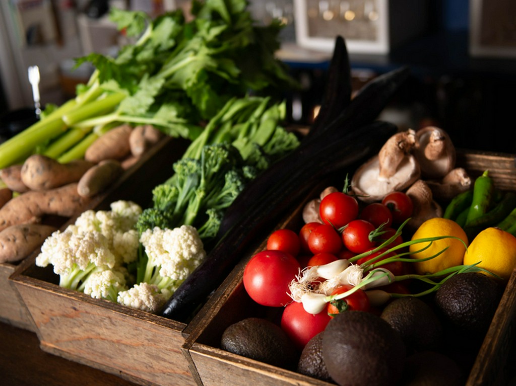 野菜のプロが厳選した、無農薬・有機栽培の新鮮な旬野菜が大集結