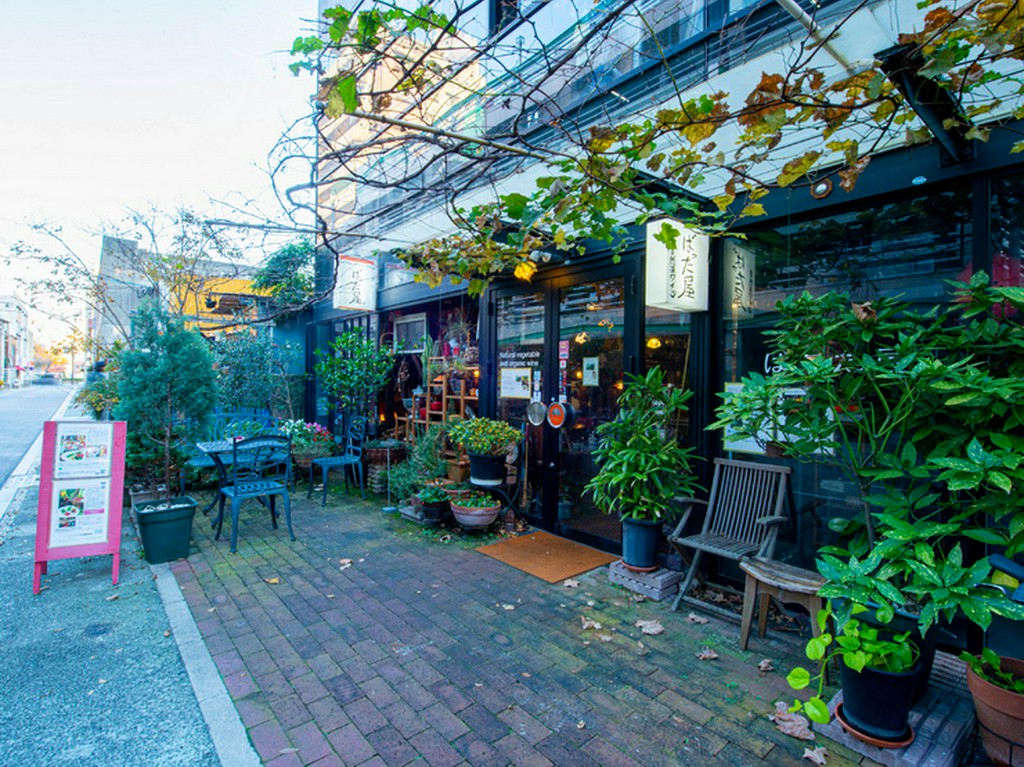 美しい緑が映える、落ち着いた雰囲気の外観