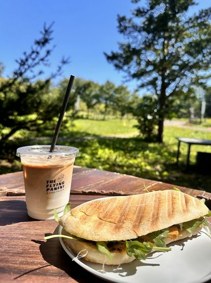 Today's Panini