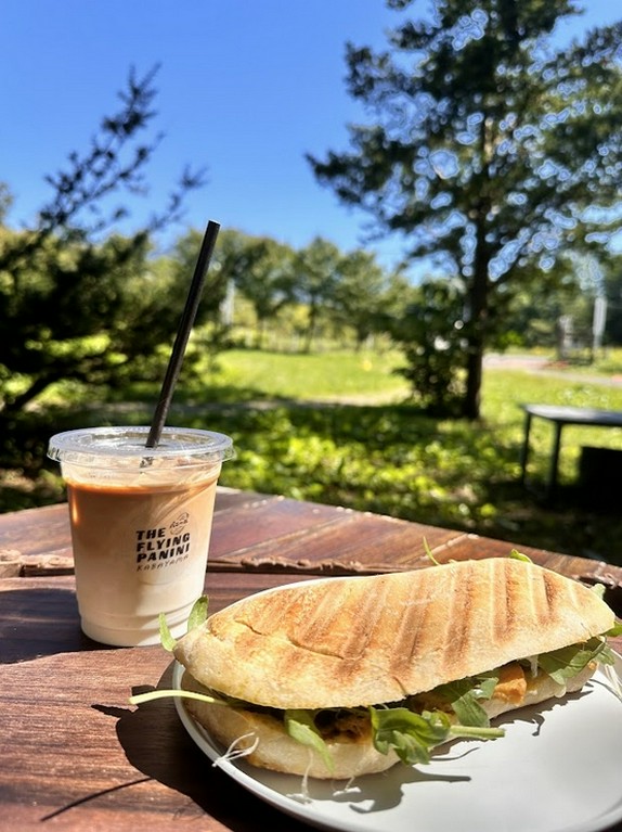 Today's Panini
