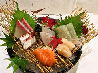 創造素材食 CD-ROM 和風料理2 寿司 刺身 肉魚料理 イメージランド sashimi-assortment-food-model.