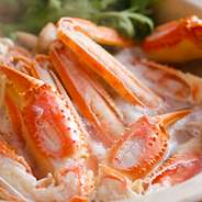 《期間限定》本ずわい蟹かにすき鍋＆鮮魚お造りコース