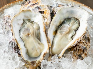 身が締まった食感と、濃厚な味わいが特徴『生牡蠣』