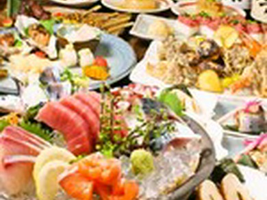 様々なコースをご用意