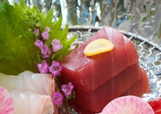 豊洲直送の青森産の本鮪