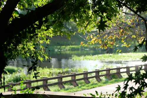 ガーデン席からの眺め