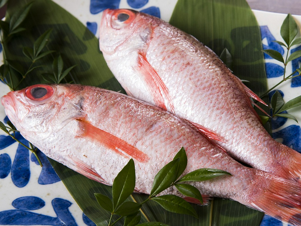 厳しい目利きで選び抜いた、良質な天然魚や京野菜を仕入れ