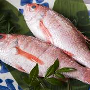 「魚は天然ものしか仕入れない」という髙山氏の哲学のもと、大間のマグロや北海道の毛ガニなど、日本中の名産食材を中心に厳しい目利きで仕入れ。野菜は京野菜などの貴重なものを、折に触れて吟味しています。

