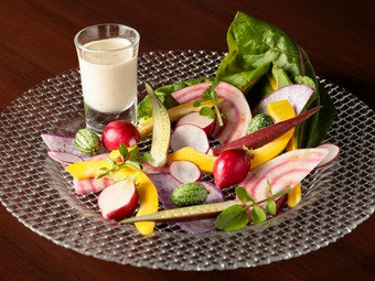 色彩豊かで目でも楽しめる一皿『三浦野菜のバーニャフレイダ』