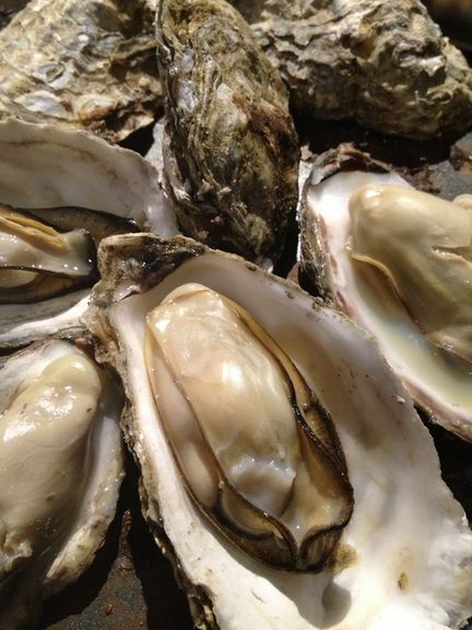 売れ筋 蒸しかき 1kg