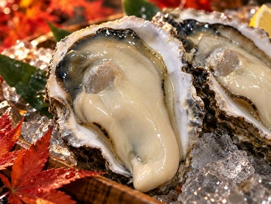 生牡蠣