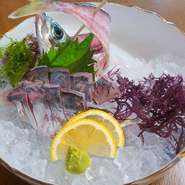 久留米の魚市場から直送された鮮度抜群の鯵を注文が入ってから生簀から取り出し、捌いた一品です。プリプリの身質で素材の味をダイレクトに味わえます。