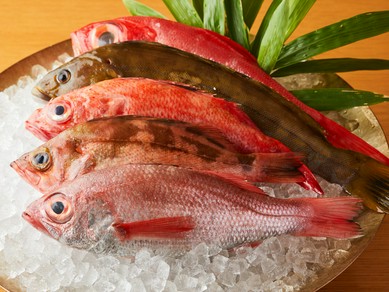 目の前に運ばれてくる食材に気持ちが高まる『季節の魚介や野菜』