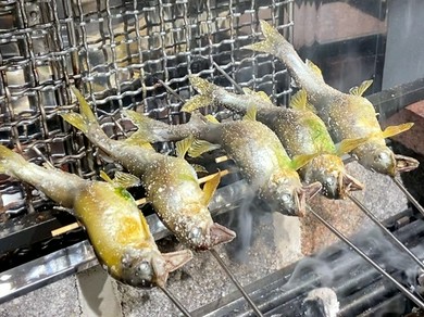 【期間限定】琵琶湖の泳ぎ鮎と淡路の鱧 ご堪能コース