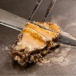 厳選したA5黒毛和牛サーロインや鮮魚の鉄板焼きにデザートプレートもご用意いたしました。