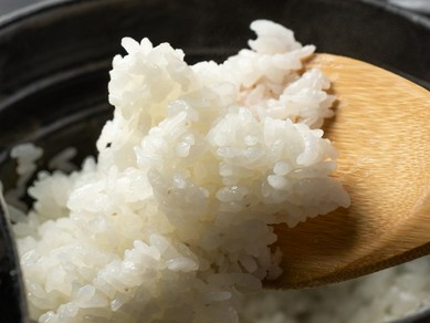 大粒ならではの「噛み応え」。希少な大粒コシヒカリを使用した『広島県産越宝玉の銀シャリ』