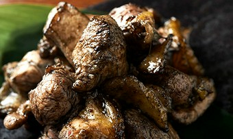 本気の炭火焼き