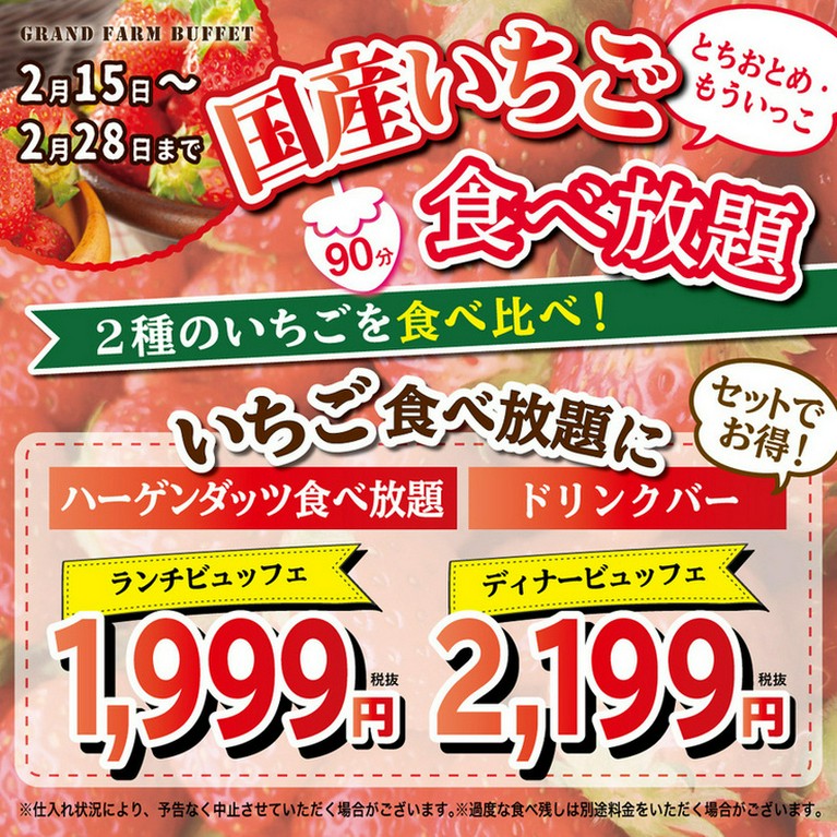 各種期間限定キャンペーンございます！